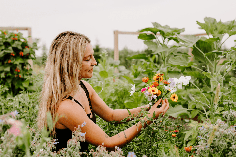 10 Fleurs Les Plus Faciles à Cultiver pour les Débutants