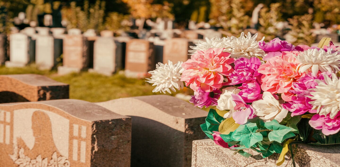 Comment Choisir les Meilleures Fleurs pour un Cimetière en Hiver ?