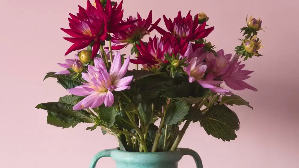 Comment Conserver des Fleurs Coupées Sans Eau ?