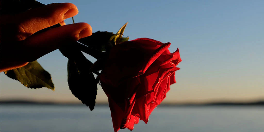 Créer une Ambiance Romantique avec des Roses Rouges Artificielles