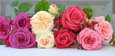 Inspirez votre décoration avec des roses artificielles : idées et conseils