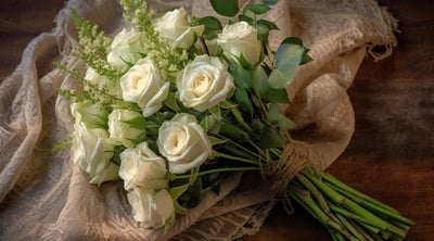 The Meaning of the White Rose: Everything You Need to Know