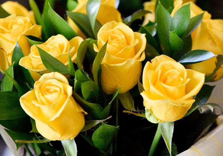 La Signification de la Rose Jaune : Symbolisme, Occasions pour l'Offrir