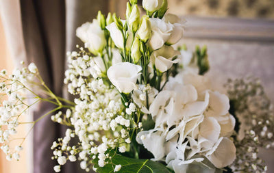 La Signification Spirituelle des Fleurs Blanches et Leurs Mystères Révélés