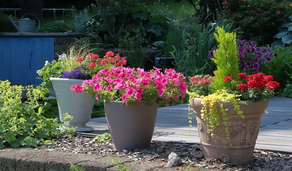 Le Guide des Plantes Artificielles pour l'Extérieur