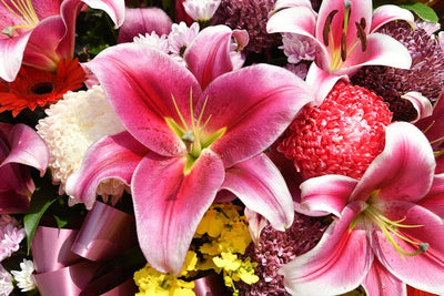 The Language of Flowers: What Do the Most Popular Flowers Mean?