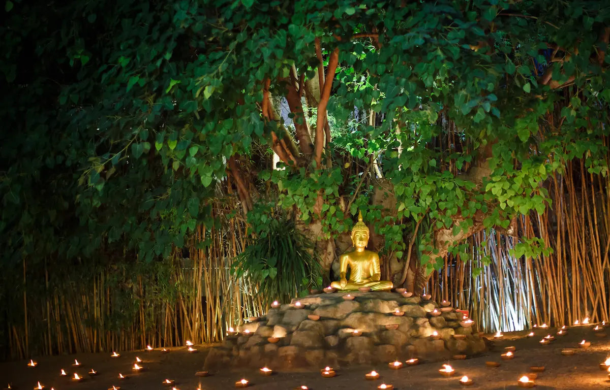 Les Arbres Sacrés du Monde et Leur Signification Spirituelle