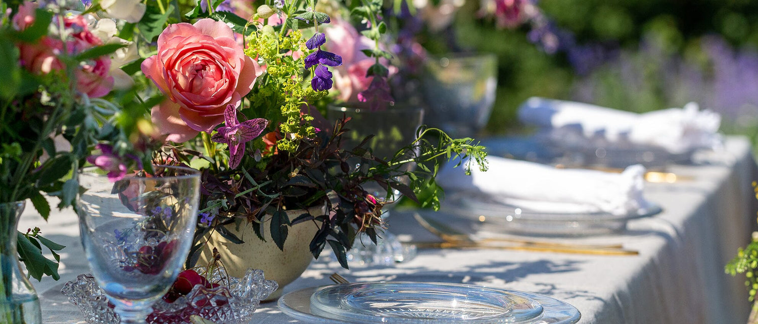 Les Fleurs les Plus Faciles à Conserver Sans Eau