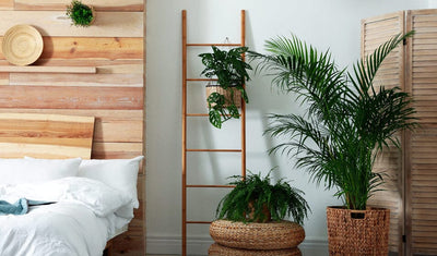 The Best Artificial Plants for Every Room in the House 