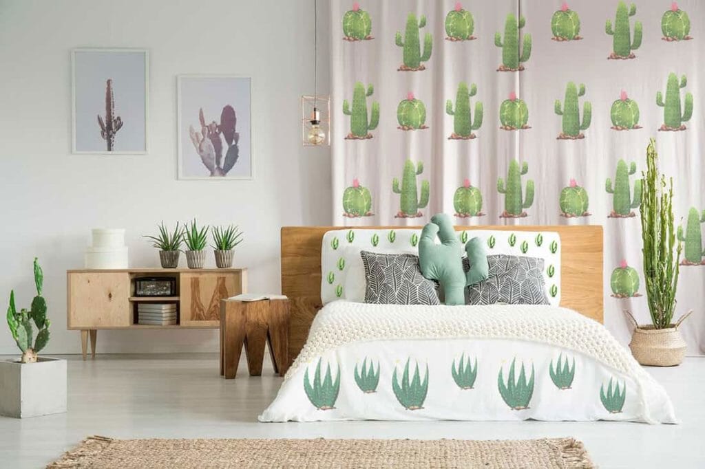 Quel Cactus Choisir pour une Chambre ? Nos Conseils Déco