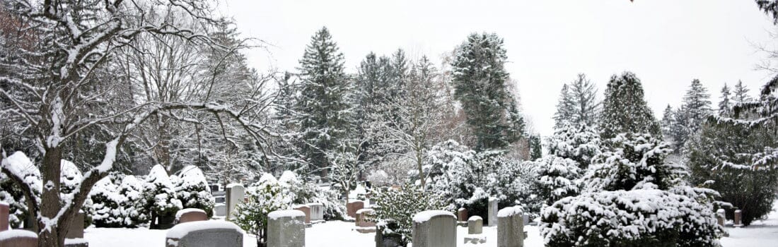 Quelles Fleurs Choisir pour une Tombe en Hiver ?