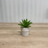 3 Mini Plantes Succulentes Artificielles en Pot - 9 cm