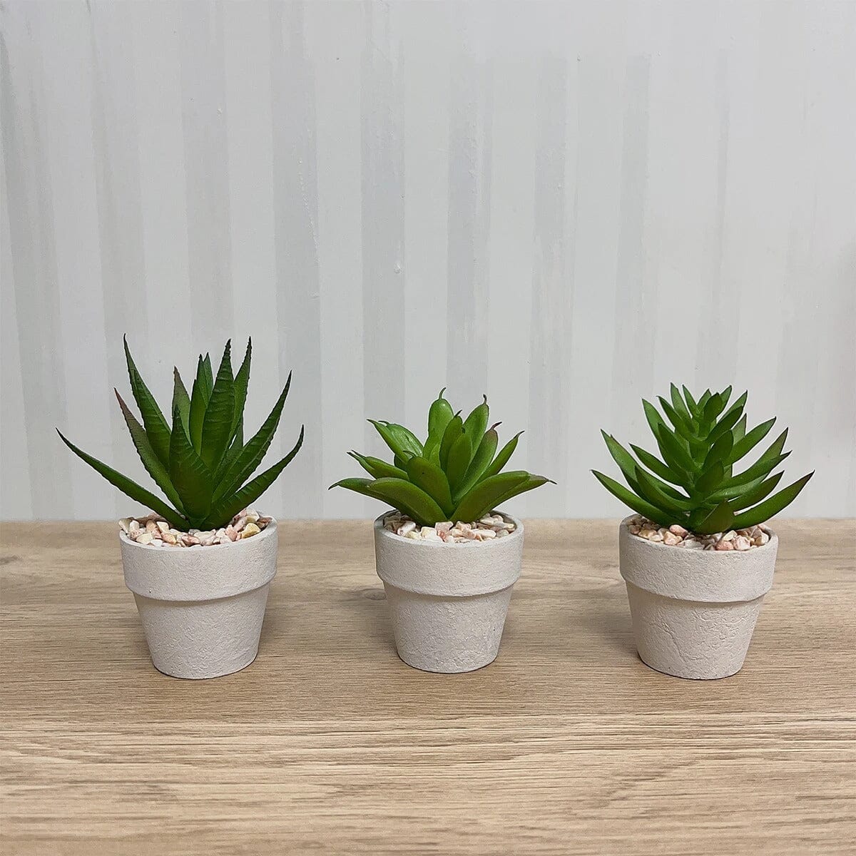 3 Mini Plantes Succulentes Artificielles en Pot - 9 cm