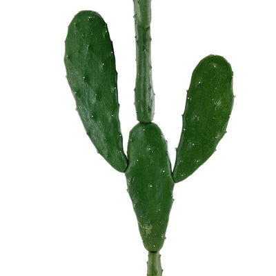 Faux Cactus Extérieur