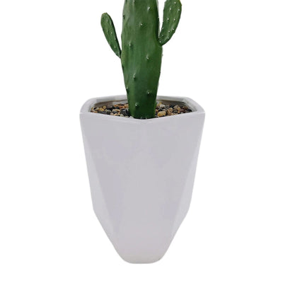 Faux Cactus Extérieur