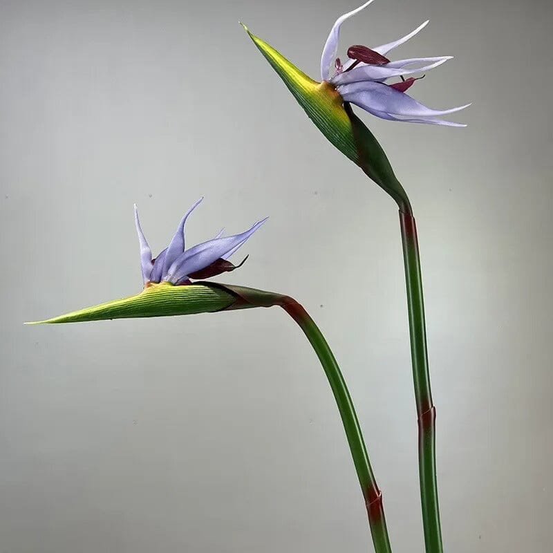 Fleur Oiseau du Paradis Artificielle