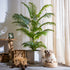 Palmier Artificiel Areca 150 cm Haut de Gamme