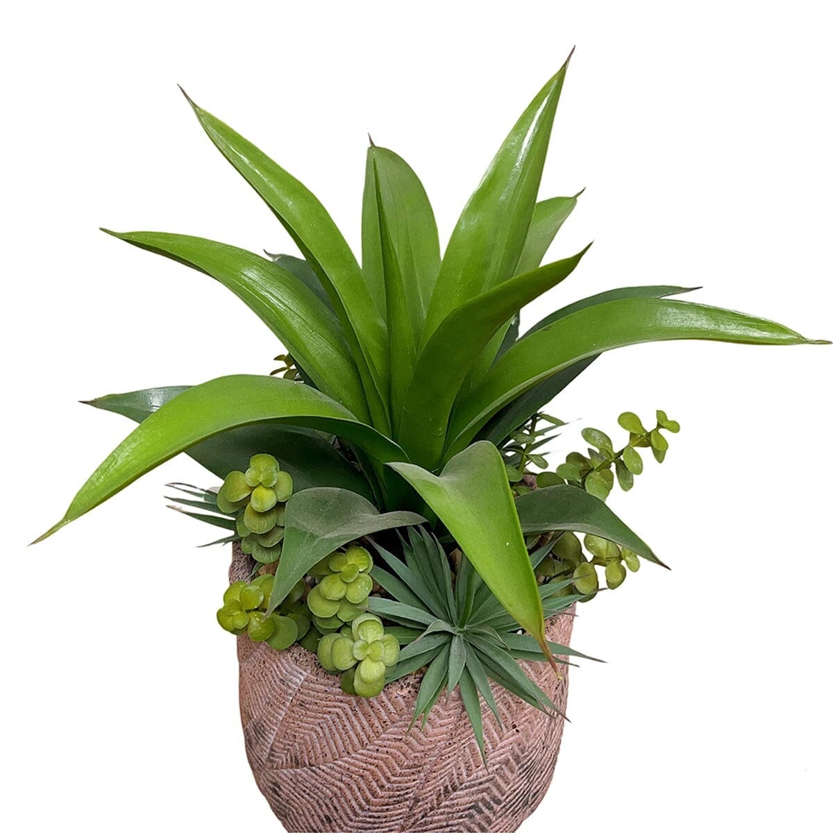 Agave Artificielle en pot avec Plantes Succulentes