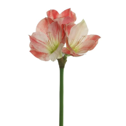 Amaryllis Artificielle - 61 cm