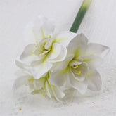 Amaryllis Artificielle Haut de Gamme - 62 cm