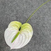 Anthurium artificiel sur tige - 60 cm