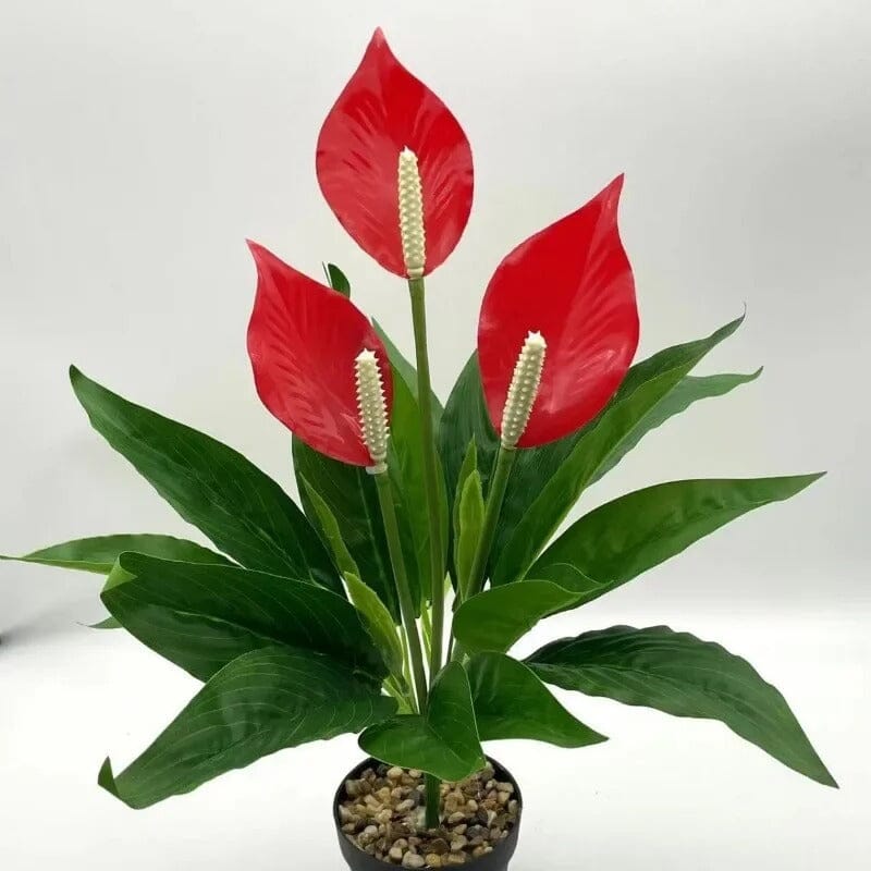 Anthurium Fleur Artificiel