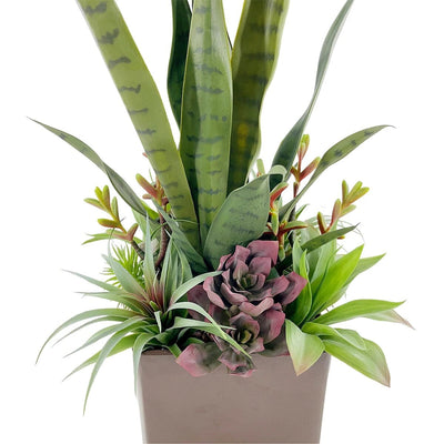 Arrangement de Succulentes et Sansevieria Artificiel en Pot