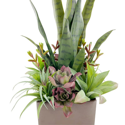 Arrangement de Succulentes et Sansevieria Artificiel en Pot