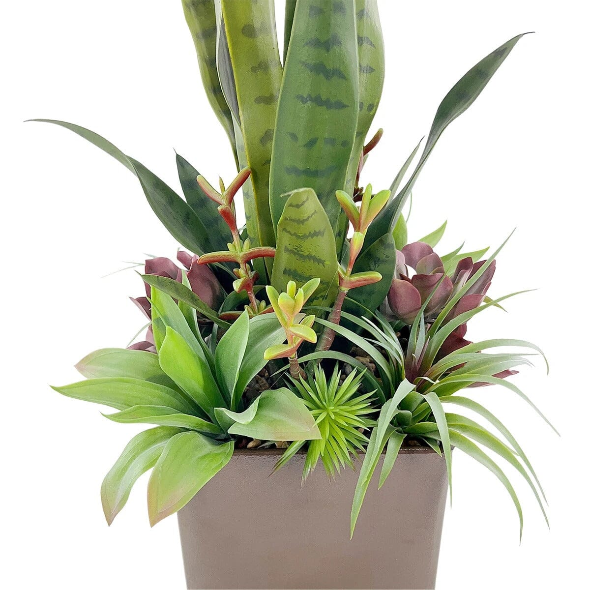 Arrangement de Succulentes et Sansevieria Artificiel en Pot