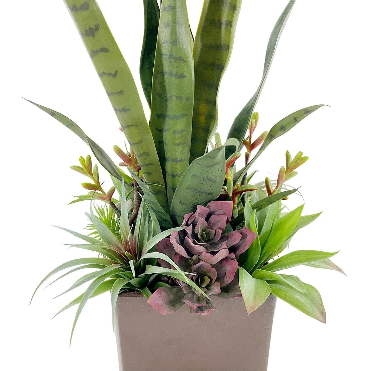 Arrangement Haut de Gamme de Succulentes et Sansevieria Artificiel