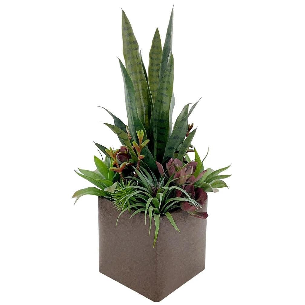 Arrangement Haut de Gamme de Succulentes et Sansevieria Artificiel