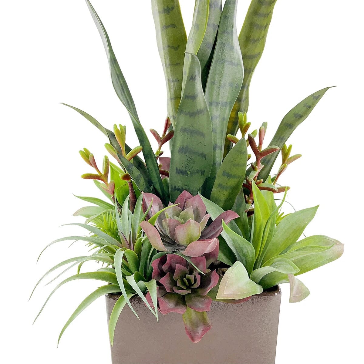 Arrangement Haut de Gamme de Succulentes et Sansevieria Artificiel