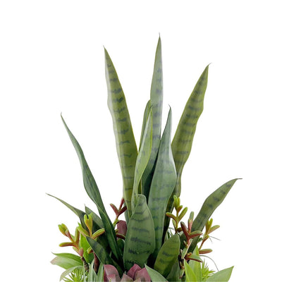 Arrangement Haut de Gamme de Succulentes et Sansevieria Artificiel