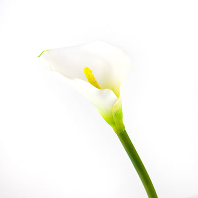 Arum Blanc Artificiel - Bouquet 10 Tiges