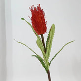 Banksia - Branche fleurie artificielle - 70 cm