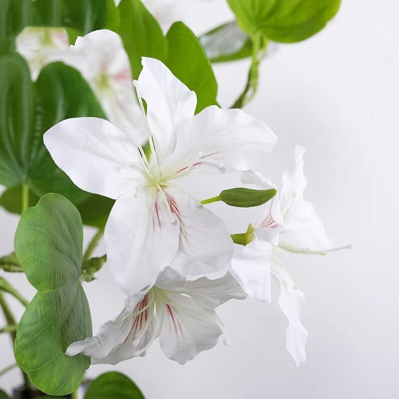 Bauhinia Artificielle sur tige - 56 cm