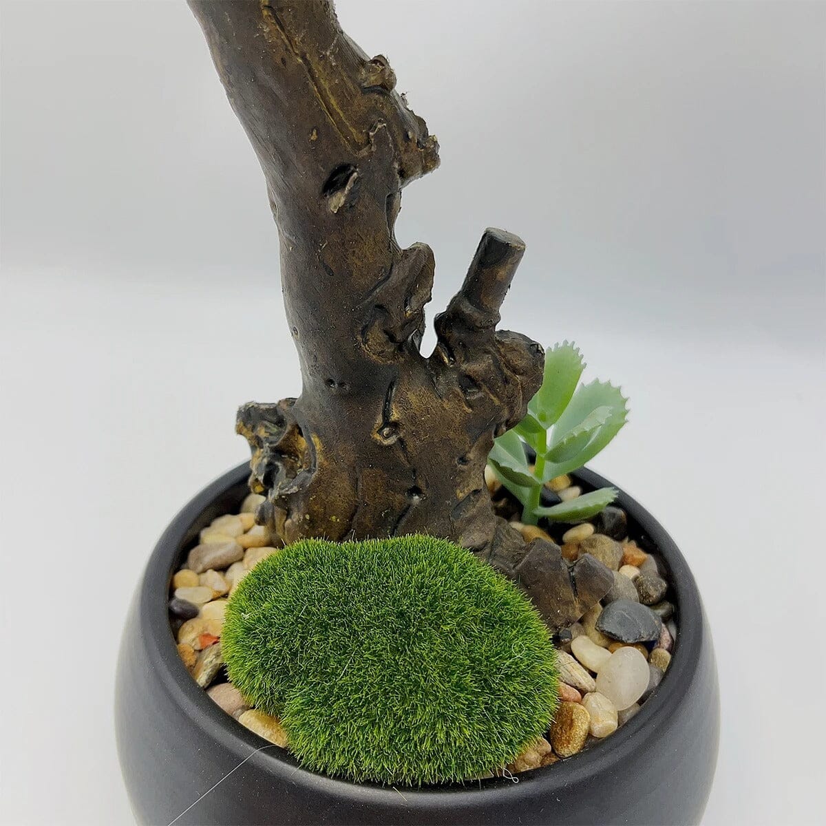 Bonsai Podocarpus artificiel (Pin des bouddhistes)