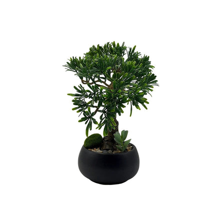 Bonsai Podocarpus artificiel (Pin des bouddhistes)