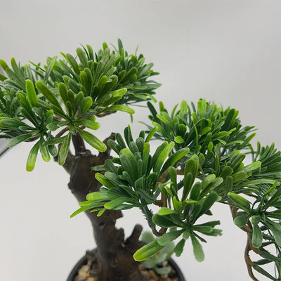 Bonsai Podocarpus artificiel (Pin des bouddhistes)