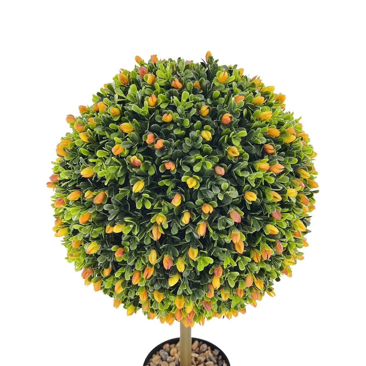 Boule de Buis Coloré en Pot Haut de Gamme - 62 cm