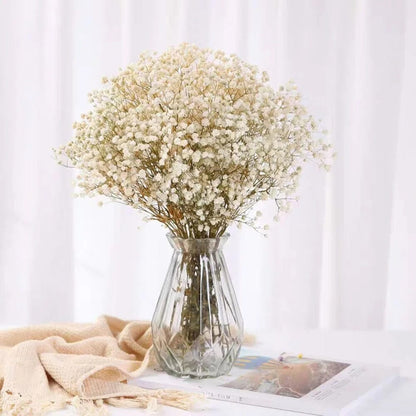 Bouquet de Gypsophile Séchée Colorée