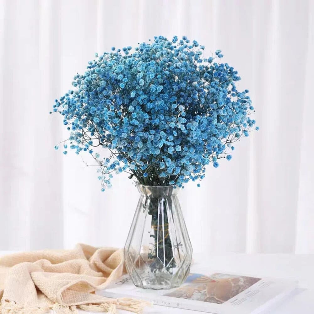 Gypsophila artificial azul