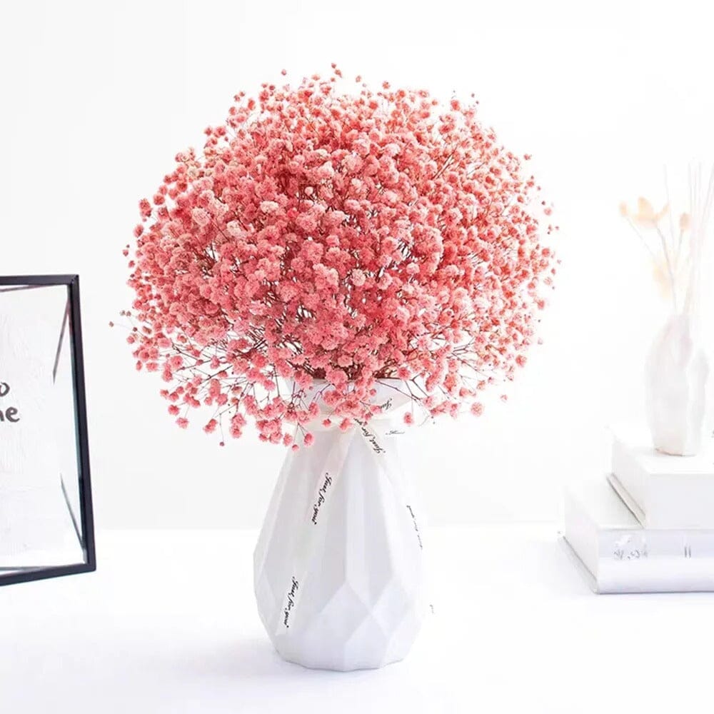 Bouquet de Gypsophile Séchée Colorée