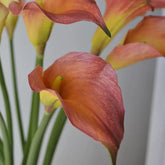 bouquet Lys Calla (Arum) - 5 Tiges - 62 cm