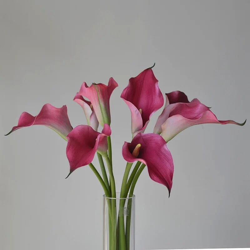 bouquet Lys Calla (Arum) - 5 Tiges - 62 cm