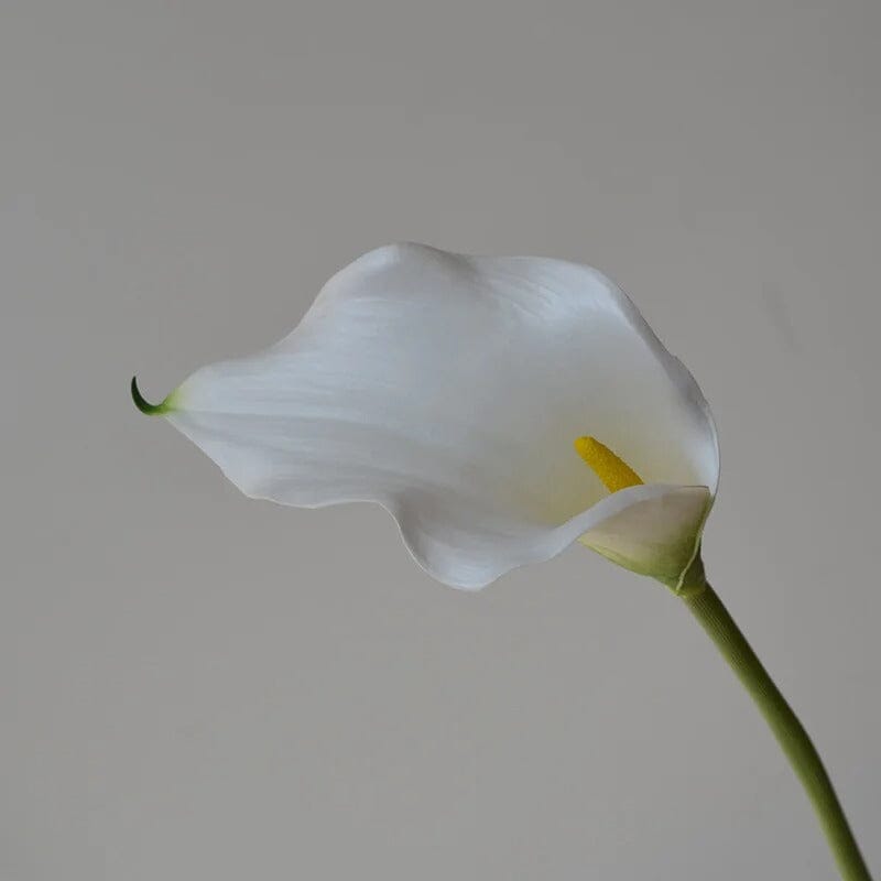 bouquet Lys Calla (Arum) - 5 Tiges - 62 cm