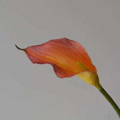 bouquet Lys Calla (Arum) - 5 Tiges - 62 cm