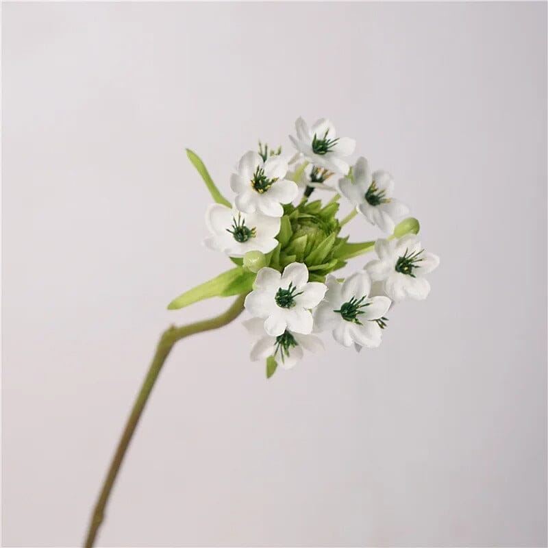 Bouquet Ornithogalum Arabicum Artificiel - Étoile de Bethléem - 64 cm