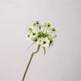 Bouquet Ornithogalum Arabicum Artificiel - Étoile de Bethléem - 64 cm