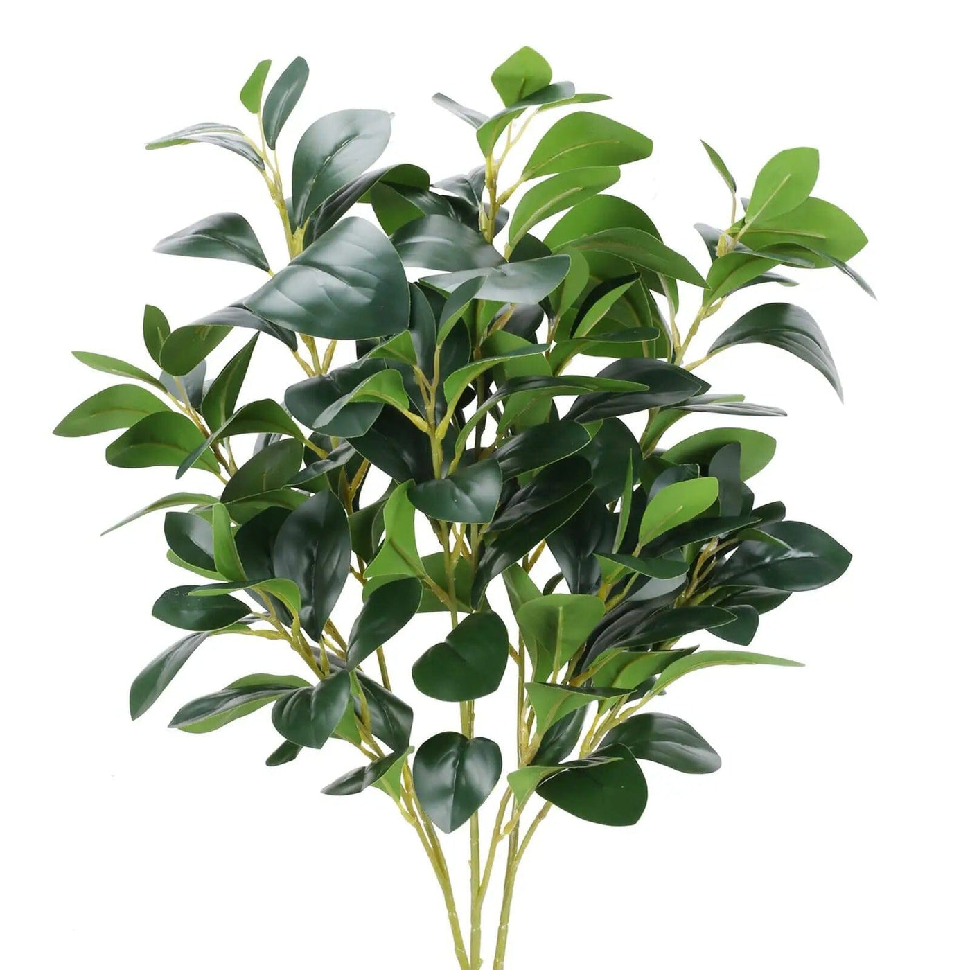 Branche de Ficus Artificiel - 65 cm